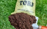 Torf – co to jest i do czego służy? Przydaje się w ogrodzie, ale nie wszystko można w nim sadzić. Sprawdź, do czego go wykorzystać