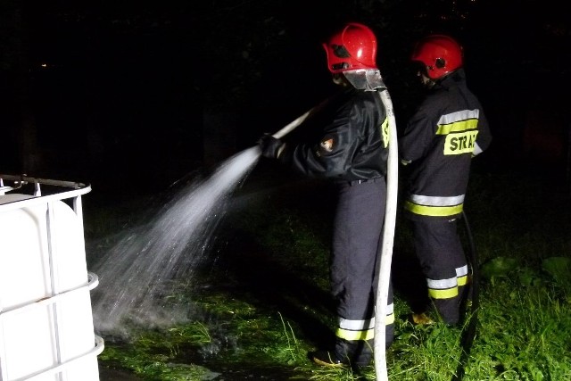 Chemikalia rozlane na Gdańskiej poparzyły pieska