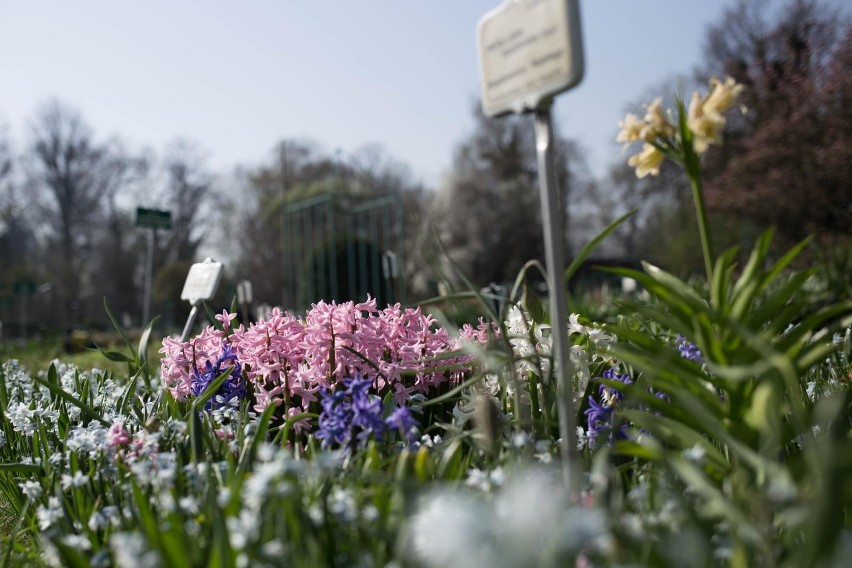 Ogród Botaniczny...