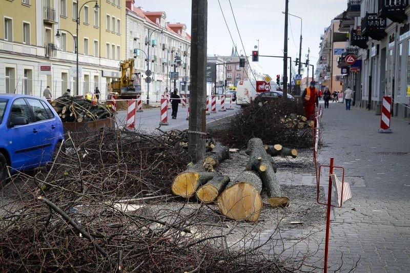 W centrum miasta wycięto resztę drzew [ZDJĘCIA]