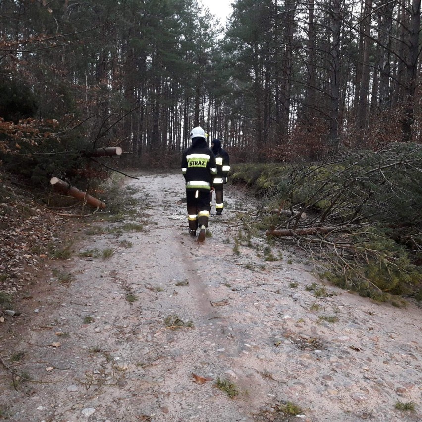 Wichura w powiecie kościerskim