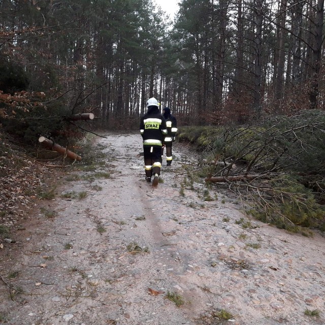 Wichura w powiecie kościerskim