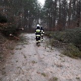 Wichura w powiecie kościerskim. 42 zdarzenia związane z usuwaniem skutków silnego wiatru. Wielu mieszkańców bez prądu 