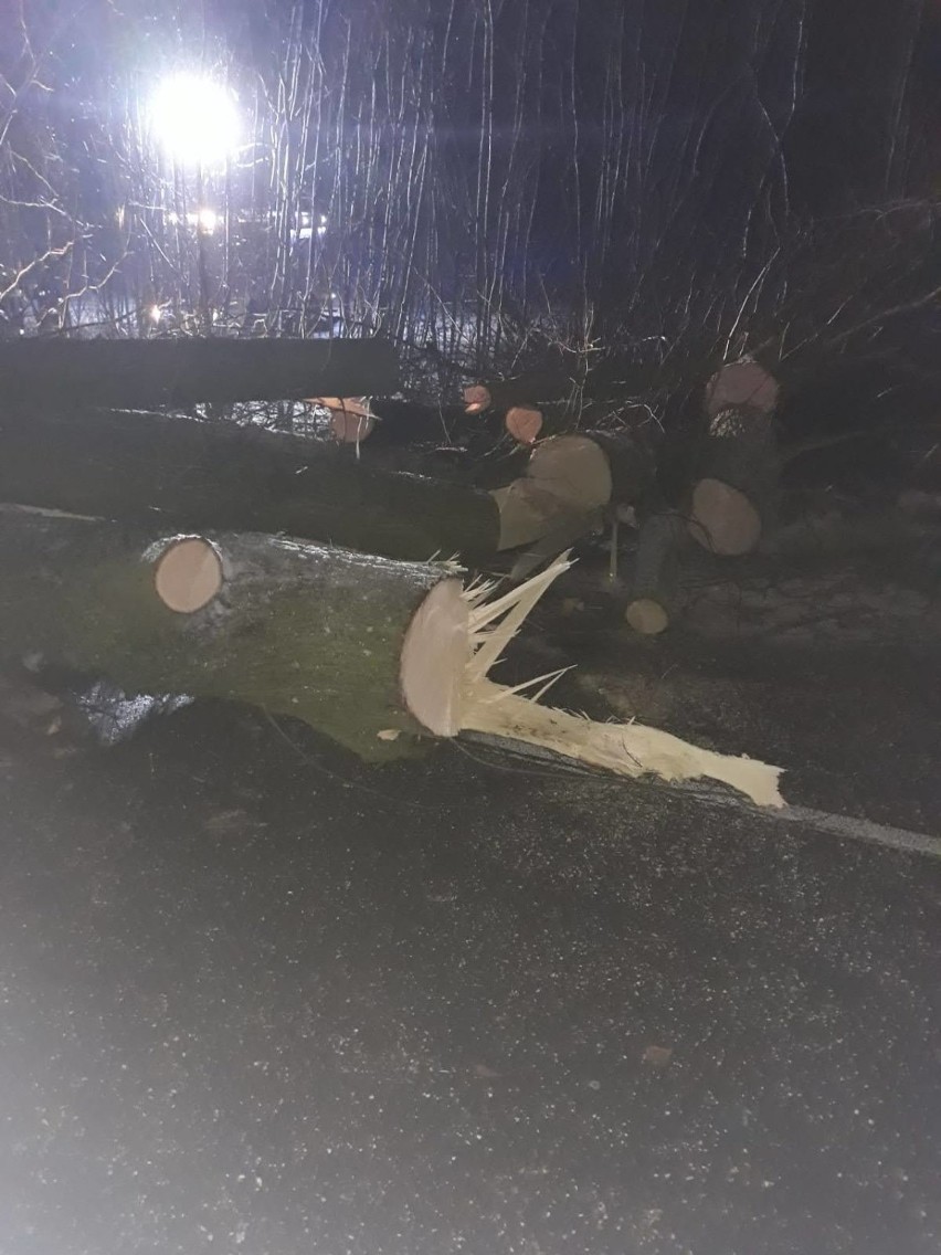 Uszkodzone drzewa przy drogach wojewódzkich 211 i 214. Ktoś...