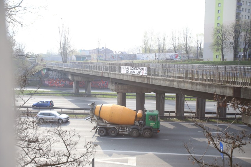 Baner z napisem NIE CZAS ŻAŁOWAĆ SZYSZKI, GDY WYCINAJĄ LASY...