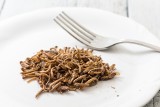 Żywność z owadami w Polsce - będą specjalne oznaczenia na produktach. Ministerstwo Rolnictwa przedstawiło nowy znak graficzny 