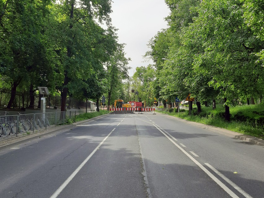 Kolejna demonstracja w obronie drzew z ul. Lipowej i Al. Racławickich w Lublinie. Tym razem przed ratuszem. Zobacz zdjęcia z remontu