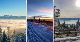 Gorce. Zaśnieżony szczyt Turbaczu tonie pod grubą warstwą śniegu. W oddali piękny widok Tatr [ZDJĘCIA]