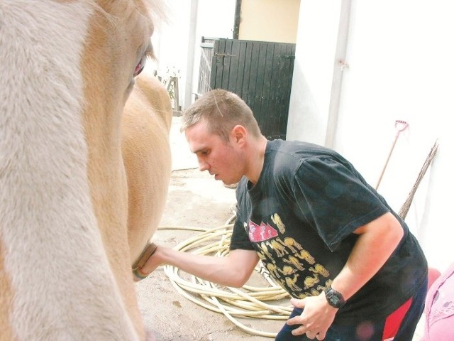 Uczestnicy zajęć uczą się m.in. opieki nad końmi. Projekt wart 475 tys. zł jest dofinansowany z Europejskiego Funduszu Społecznego. (fot. Jarosław Staśkiewicz)