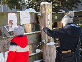 W Dzień Zakochanych zoo przemierzyły setki łodzian, także szlakiem "męskich narządów miłości u zwierząt"