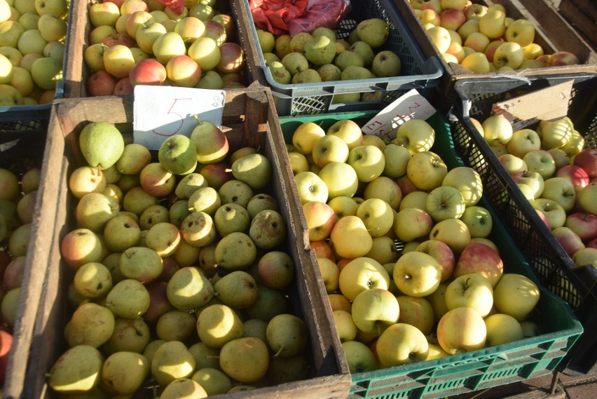 Pomidory, kapustę, cebulę, jabłka, jaja. Czym handlowano 7 listopada w Przysusze na targowisku? Zobaczcie ceny i zdjęcia
