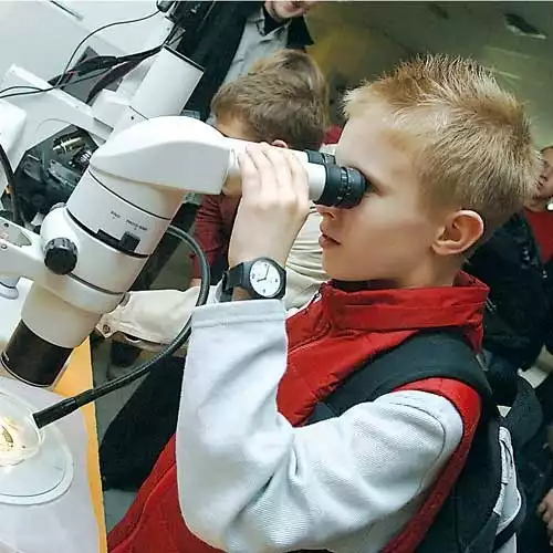 Jak wygląda larwa pod mikroskopem? Dzieci były zachwycone atrakcjami, które czekały na nie w Politechnice.