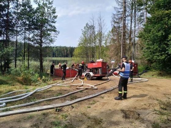 Ćwiczenia taktyczno-bojowe w leśnictwie Ogonki. Strażacy doskonalili swoje umiejętności