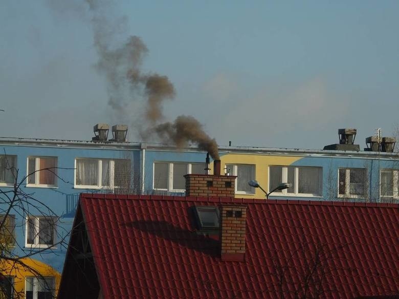 Drugi odcinek programu TyDZień. Najważniejsze wydarzenia z...