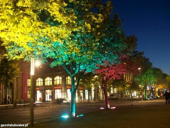 Tak wygląda teraz słynna ulica Unter den Linden (fot.Agata Bielecka)