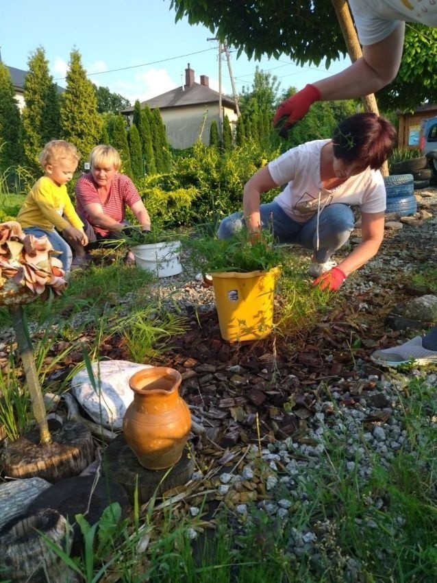 Społeczny ogródek odnowiono w Mircu. Zobaczcie jak wygląda