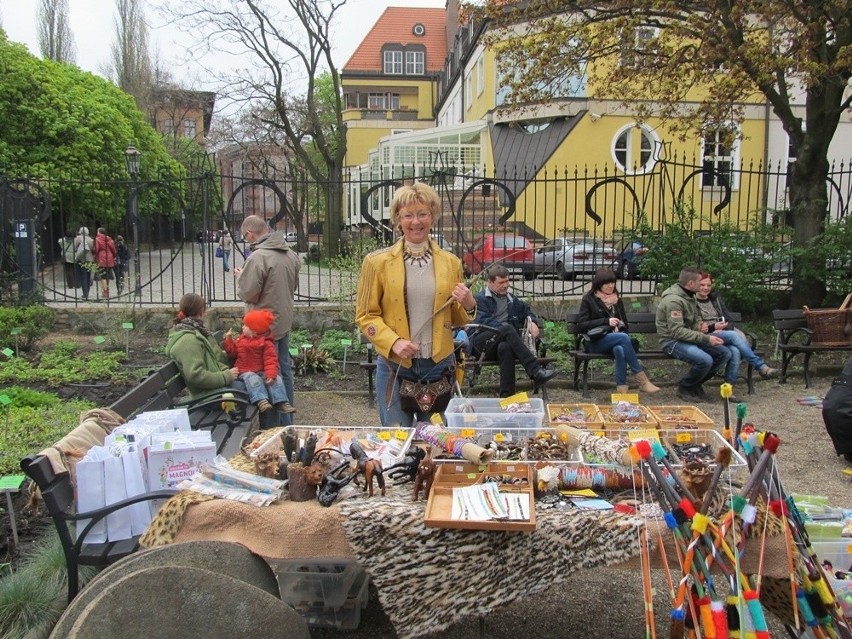 Wrocław: Majówka Tumska w ogrodzie botanicznym (ZDJĘCIA)