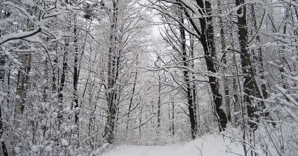 Weekend ma być śnieżny i mroźny.