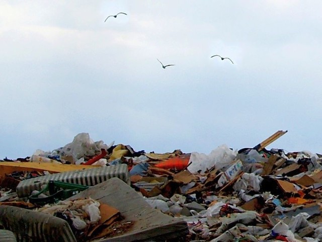 Zdaniem urzędników, w Surażu doszło do rażącego naruszenia przepisów o ochronie środowiska.