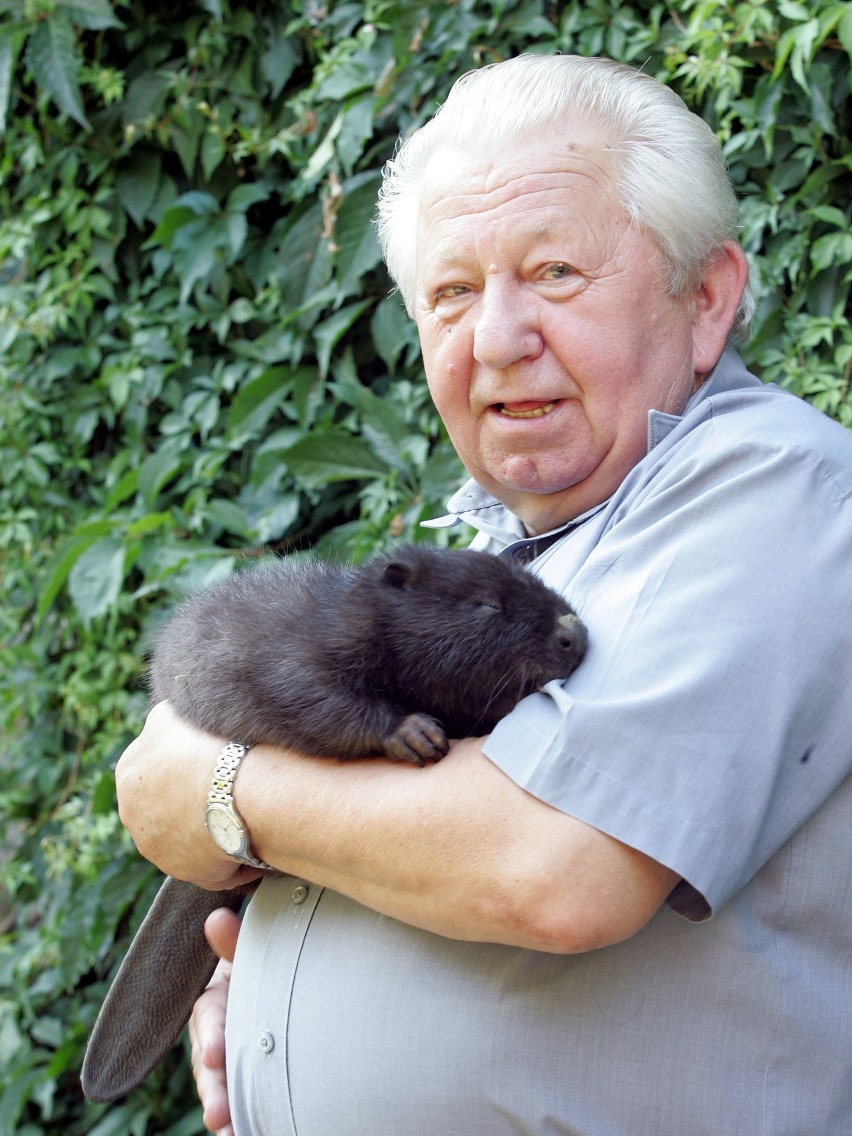 Antoni Gucwiński, twórca programu "Z kamerą wśród zwierząt", kończy dzisiaj 86 lat