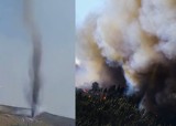 Pożary w Portugalii. Strażak nagrał ogniowe tornado w pobliżu miasta Vila Real [WIDEO]