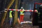 Morderca z parku Kościuszki w Katowicach wciąż poszukiwany. Nożownicy atakują też w Rybniku i Zabrzu