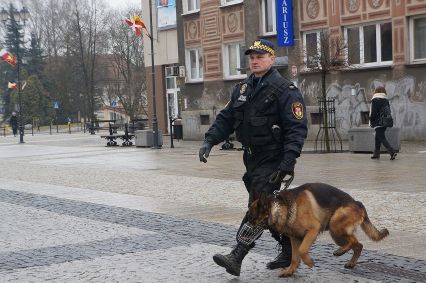 Białystok. Straż miejska zatrudni 11 osób