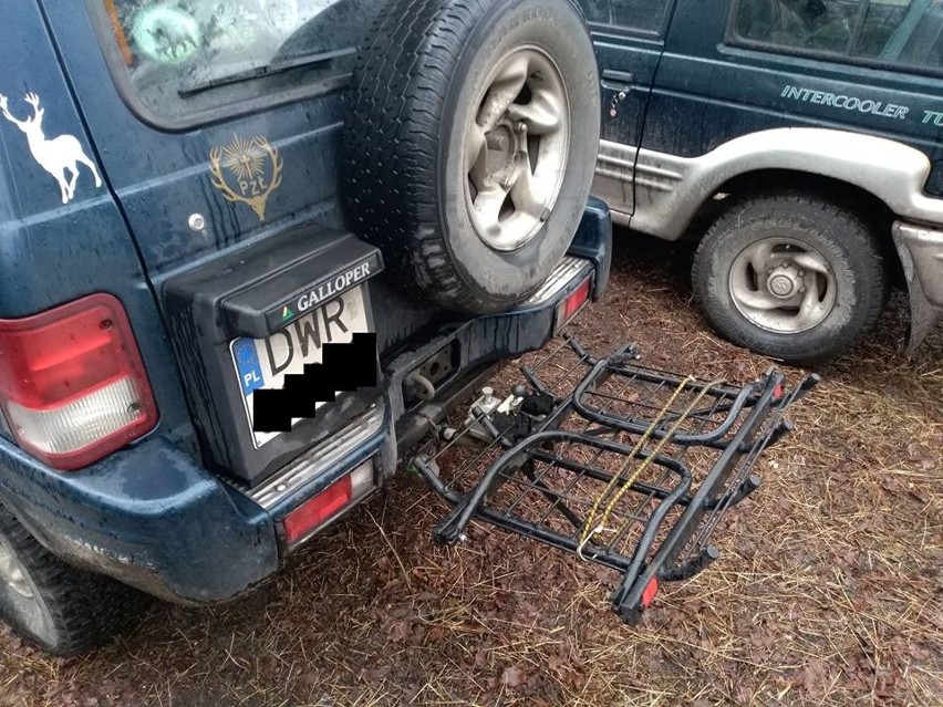 Pod Wrocławiem myśliwi nie postrzelali do dzików. Przyjechała policja (ZDJĘCIA)