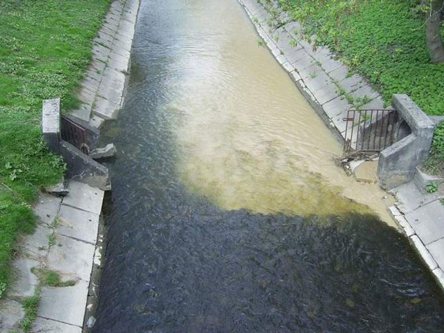 Niedawno rzeka Biała była zanieczyszczona.