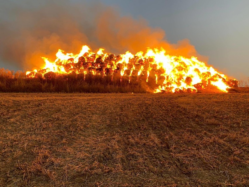 Pożar koło miejscowości Płotno. Spaliło się 600 bel siana