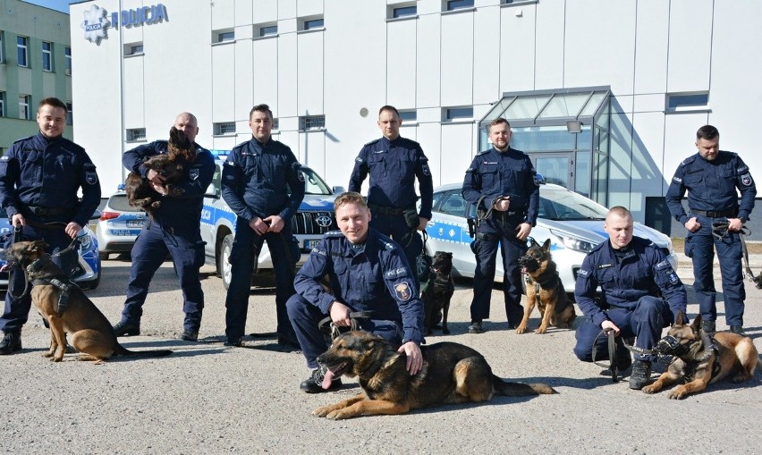 Policjanci, którzy decydują się na pracę ze zwierzętami,...