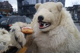 Zakopane. Cukiernie pod Giewontem pracują na pełnych obrotach. Jutro Tłusty czwartek. Gdzie zjemy pyszne pączki? 