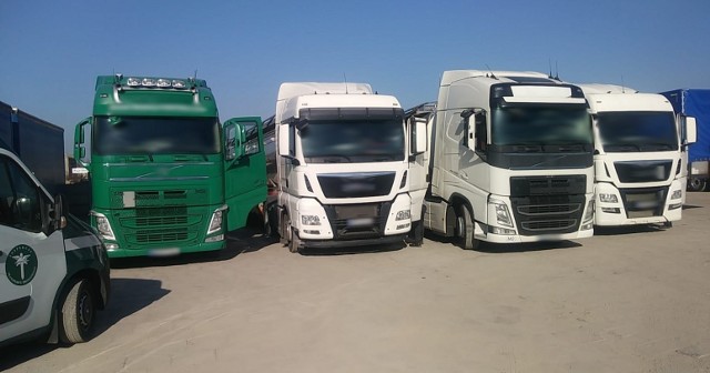 W czterech mołdawskich i jednej tureckiej ciężarówce były zainstalowane wyłączniki tachografów. Kierowcy mogli więc rejestrować rzekomy odpoczynek w trakcie jazdy.