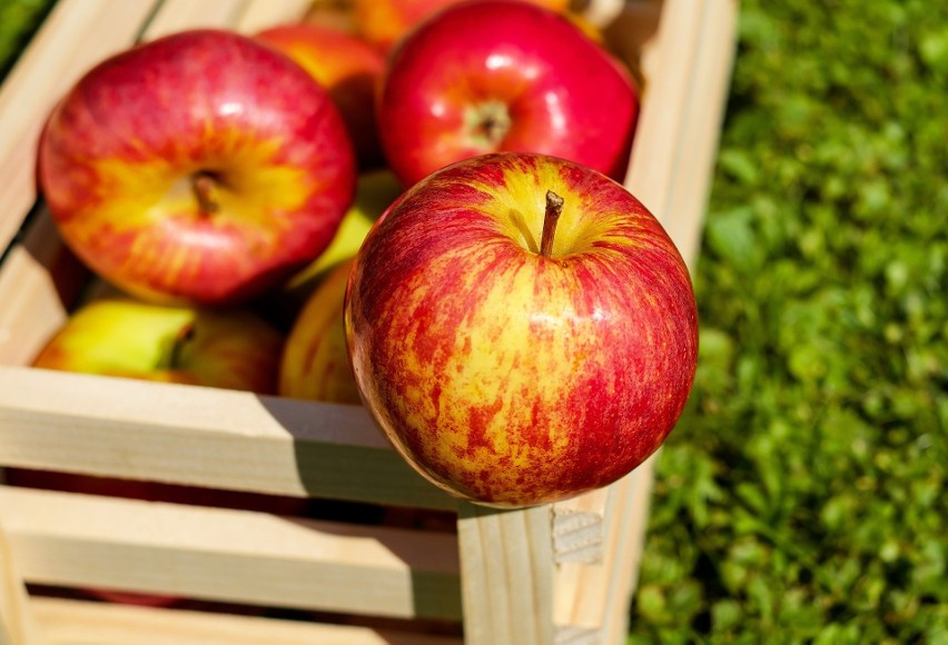 Przy niektórych chorobach układu pokarmowego jedzenie jabłek...