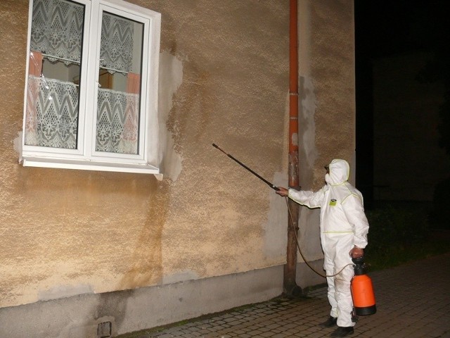 Spryskiwanie ścian bloku przy 1 Sierpnia 13 środkiem owadobójczym.