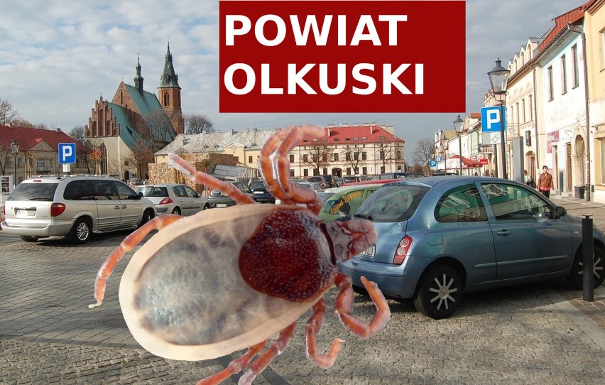 Następne miejsce należy do powiatu olkuskiego. Tutaj...