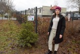 Niepotrzebną żywą świąteczną choinkę można oddać do Ogrodu Botanicznego w Kielcach [WIDEO]