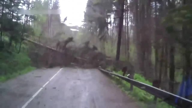 Jechali drogą nieopodal miejscowości Wysokie Tatry między Popradem a granicą z Polską, gdy nagle przed ich samochodem zaczęły przewracać się drzewa.