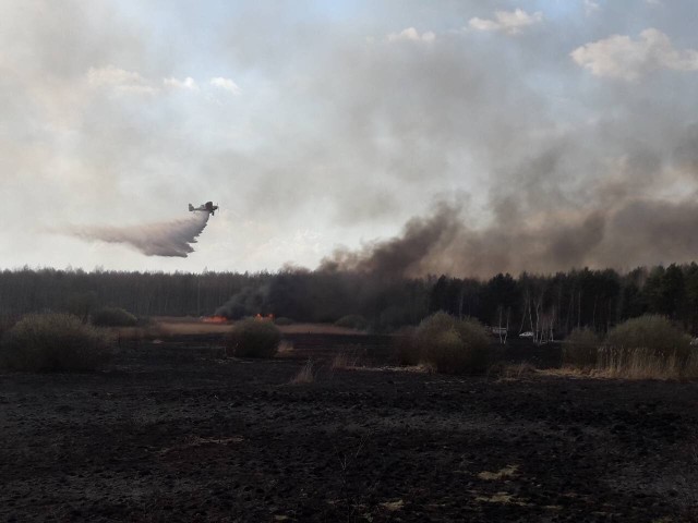 Ponad 50 strażaków walczyło wczoraj z potężnym pożarem w okolicy Poręb Furmańskich, w powiecie tarnobrzeskim. Był to do tej pory największy w tym roku pożar na Podkarpaciu. Publikujemy zdjęcia, które otrzymaliśmy od strażaków.