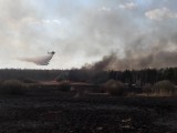 To był największy w tym roku pożar na Podkarpaciu. Tak strażacy walczyli z żywiołem w Porębach Furmańskich [ZDJĘCIA] 