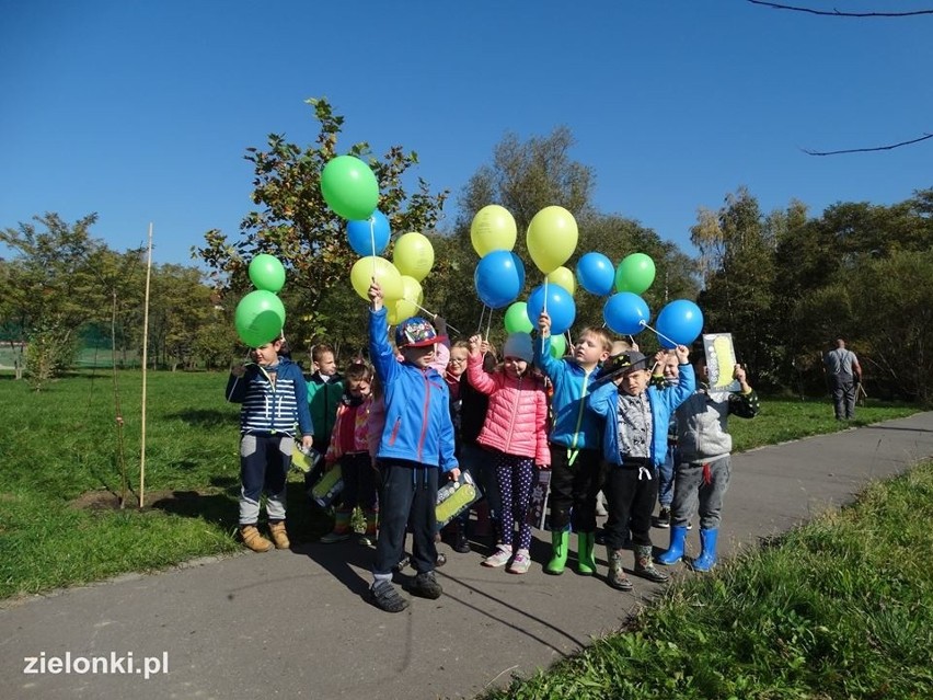 Półdziki skwer w Zielonkach pod lupą najmłodszych odkrywców przyrody