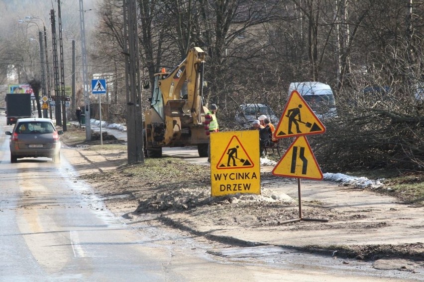 Wielkie cięcie w Skarżysku - Kamiennej. Z powodu inwestycji drzewa idą pod topór (ZDJĘCIA)
