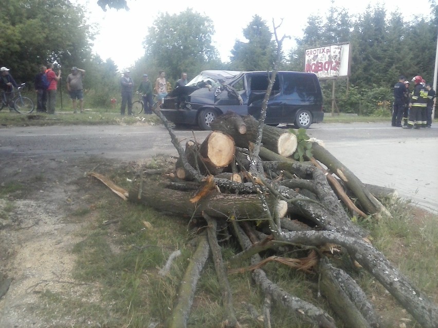 Ul. Nałęczowska: Drzewo spadło na samochód (ZDJĘCIA)