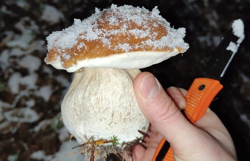 - Matka natura naprawdę nas obdarowała w tym roku pięknymi...