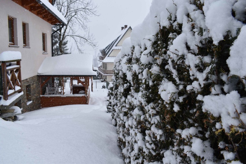 Zakopane. W nocy spadło 25 cm śniegu. Fatalne warunki drogowe [ZDJĘCIA]