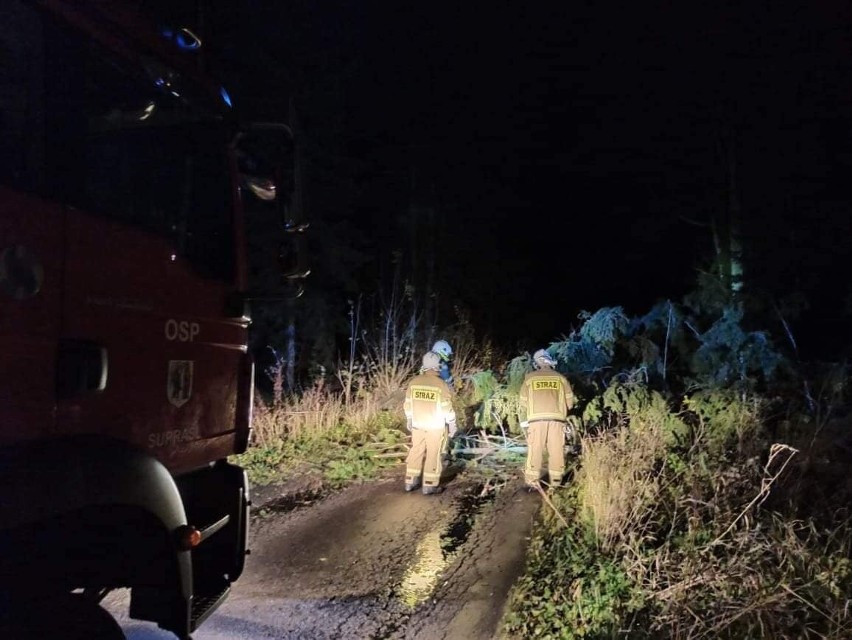 Skutki wichury w Podlaskiem. Strażacy interweniowali 136 razy. Głównie uszkodzone dachy i drzewa na drogach [ZDJĘCIA]