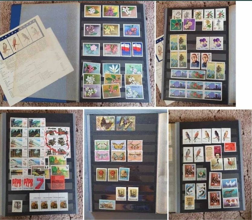 Niektóre stare znaczki pocztowe są dziś sporo warte. Na...