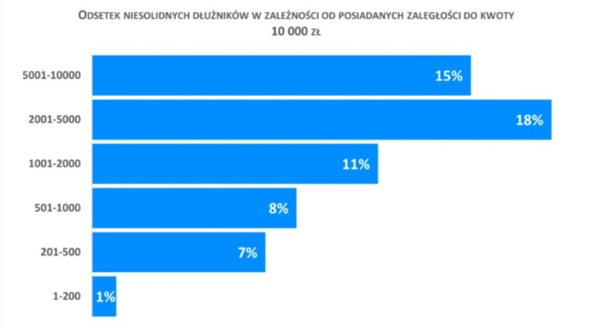 Źródło: Rejestr Dłużników BIG InfoMonitor i baza informacji...