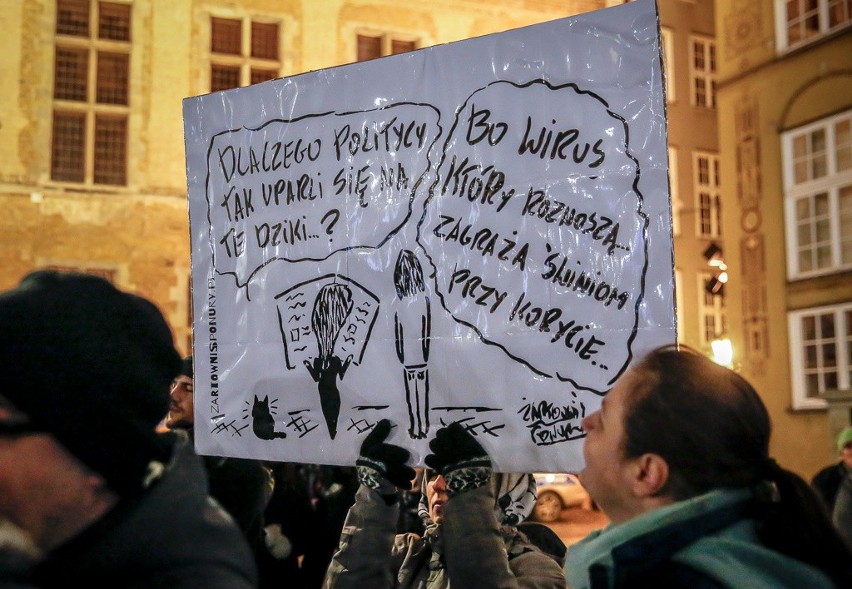 Gdański protest przeciwko masowemu odstrzałowi dzików,...