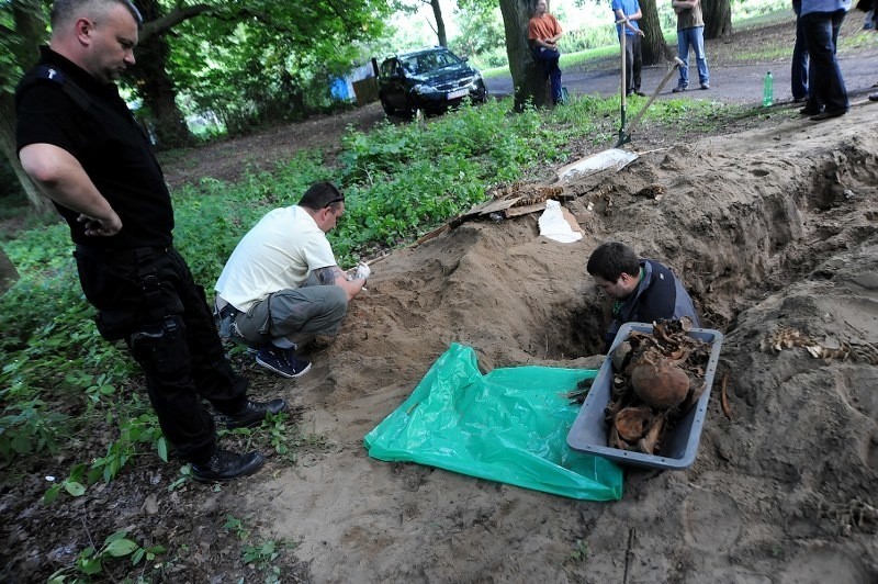 Szczecin: W parku znaleziono ludzkie szczątki